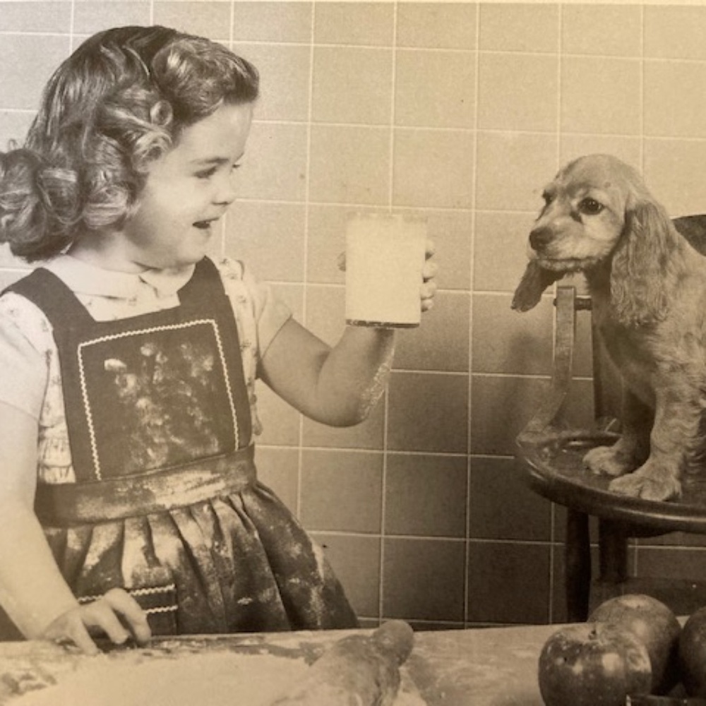 1940's Milk Glass Wind Mill S&P Shakers - Picture 9 of 9